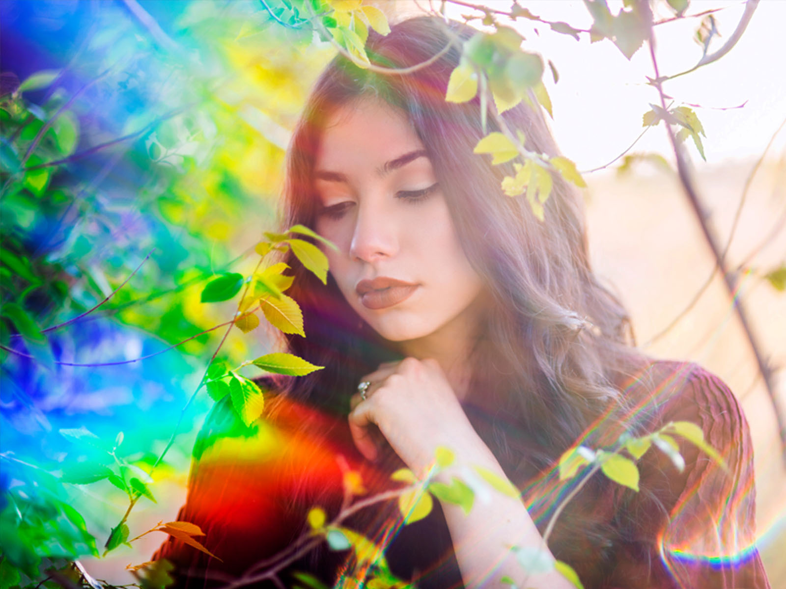 OMNI Lens Flare Maker Kit