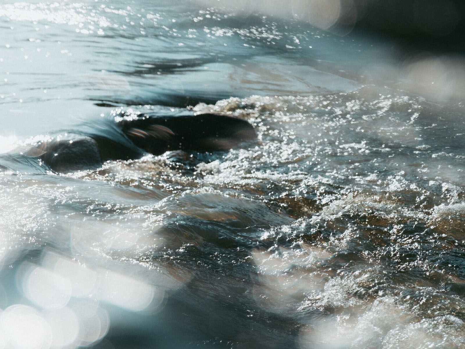 Split Diopter Filter